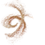 initial